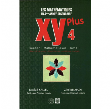 XY LES MATHEMATIQUES 4 EME...